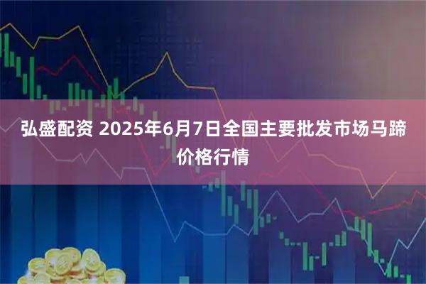 弘盛配资 2025年6月7日全国主要批发市场马蹄价格行情