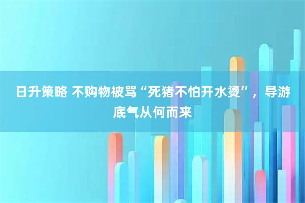 日升策略 不购物被骂“死猪不怕开水烫”，导游底气从何而来