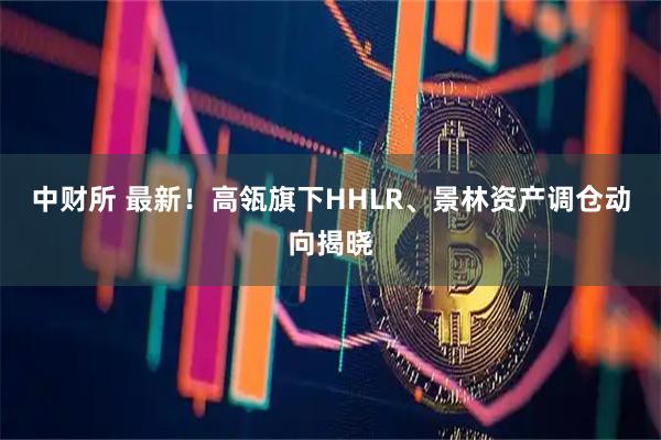中财所 最新！高瓴旗下HHLR、景林资产调仓动向揭晓